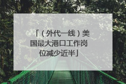 （外代一线）美国最大港口工作岗位减少近半