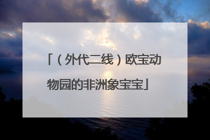 （外代二线）欧宝动物园的非洲象宝宝
