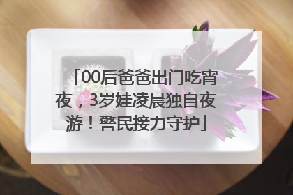 00后爸爸出门吃宵夜，3岁娃凌晨独自夜游！警民接力守护
