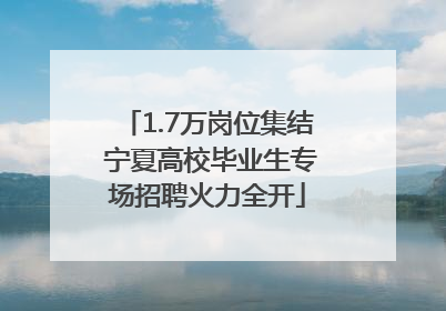 1.7万岗位集结 宁夏高校毕业生专场招聘火力全开