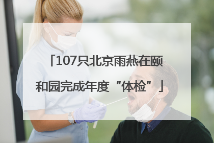 107只北京雨燕在颐和园完成年度“体检”