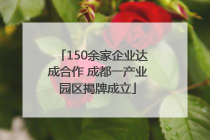 150余家企业达成合作 成都一产业园区揭牌成立