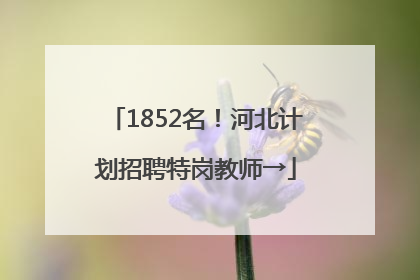 1852名！河北计划招聘特岗教师→
