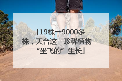 19株→9000多株，天台这一珍稀植物“坐飞的”生长