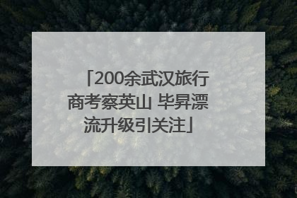 200余武汉旅行商考察英山 毕昇漂流升级引关注
