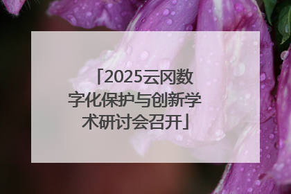2025云冈数字化保护与创新学术研讨会召开