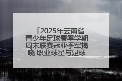 2025年云南省青少年足球春季学期周末联赛冠亚季军揭晓 职业球星与足球小将共享荣耀时刻