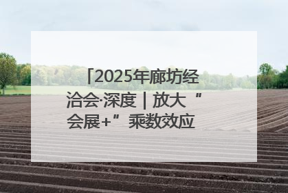 2025年廊坊经洽会·深度｜放大“会展+”乘数效应 打造消费新场景