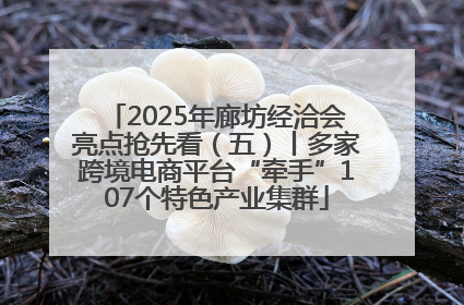 2025年廊坊经洽会亮点抢先看（五）丨多家跨境电商平台“牵手”107个特色产业集群