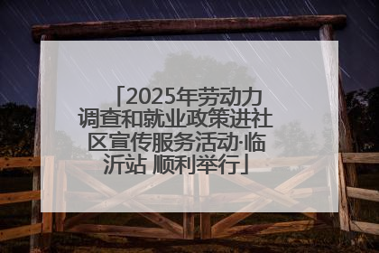 2025年劳动力调查和就业政策进社区宣传服务活动·临沂站 顺利举行
