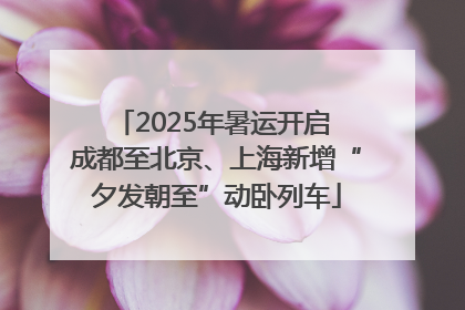 2025年暑运开启 成都至北京、上海新增“夕发朝至”动卧列车