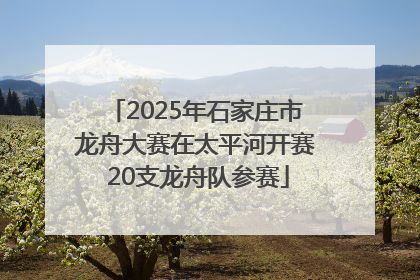 2025年石家庄市龙舟大赛在太平河开赛 20支龙舟队参赛