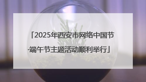 2025年西安市网络中国节·端午节主题活动顺利举行