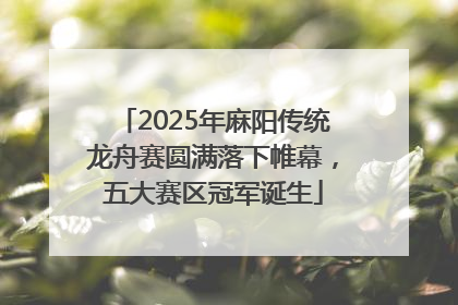 2025年麻阳传统龙舟赛圆满落下帷幕，五大赛区冠军诞生