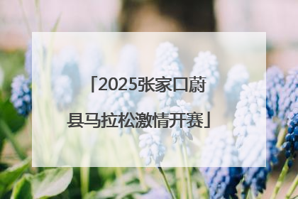 2025张家口蔚县马拉松激情开赛