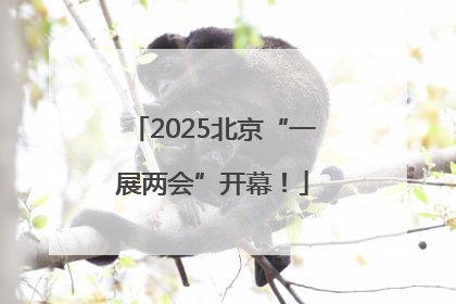 2025北京“一展两会”开幕！