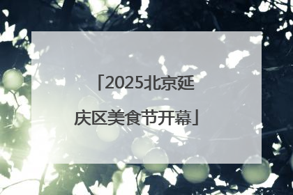 2025北京延庆区美食节开幕