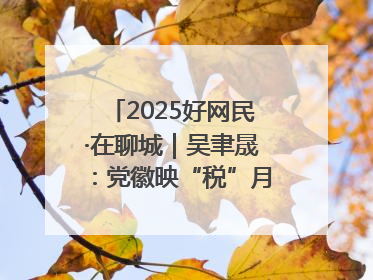 2025好网民·在聊城｜吴聿晟：党徽映“税”月 网播传政声