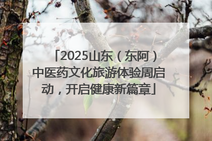 2025山东（东阿）中医药文化旅游体验周启动，开启健康新篇章