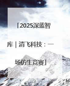 2025深蓝智库｜清飞科技：一场仿生竞赛