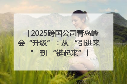 2025跨国公司青岛峰会“升级”：从 “引进来” 到 “链起来”