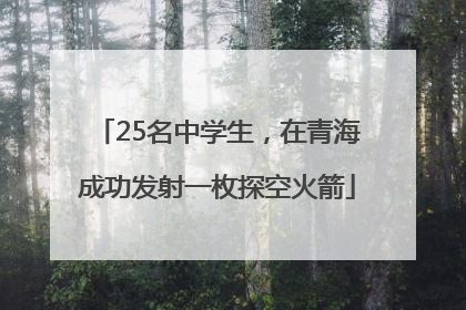 25名中学生，在青海成功发射一枚探空火箭