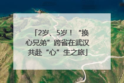 2岁、5岁！“换心兄弟”跨省在武汉共赴“心”生之旅