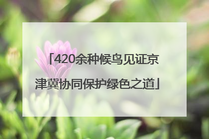 420余种候鸟见证京津冀协同保护绿色之道