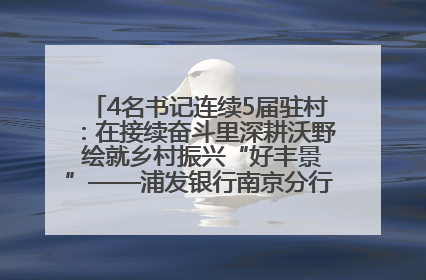 4名书记连续5届驻村：在接续奋斗里深耕沃野 绘就乡村振兴“好丰景”——浦发银行南京分行助力脱贫攻坚、帮促乡村振兴记事（二）