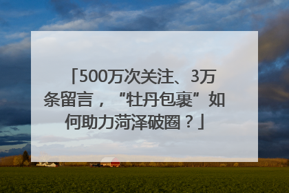 500万次关注、3万条留言，“牡丹包裹”如何助力菏泽破圈？