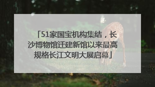 51家国宝机构集结，长沙博物馆迁建新馆以来最高规格长江文明大展启幕
