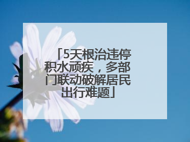 5天根治违停积水顽疾，多部门联动破解居民出行难题