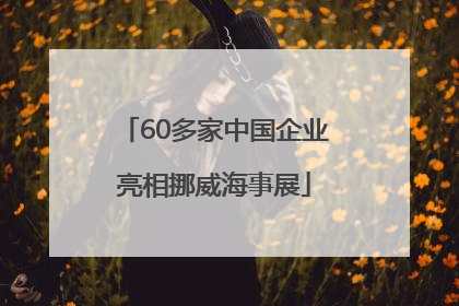 60多家中国企业亮相挪威海事展