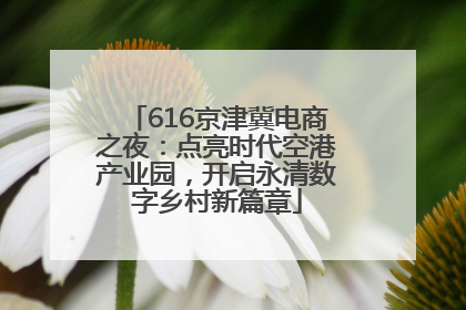616京津冀电商之夜：点亮时代空港产业园，开启永清数字乡村新篇章