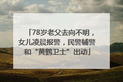 78岁老父去向不明，女儿凌晨报警，民警辅警和“黄鹤卫士”出动