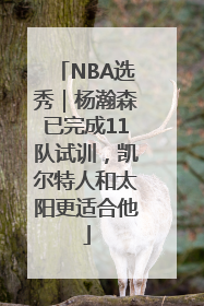 NBA选秀｜杨瀚森已完成11队试训，凯尔特人和太阳更适合他